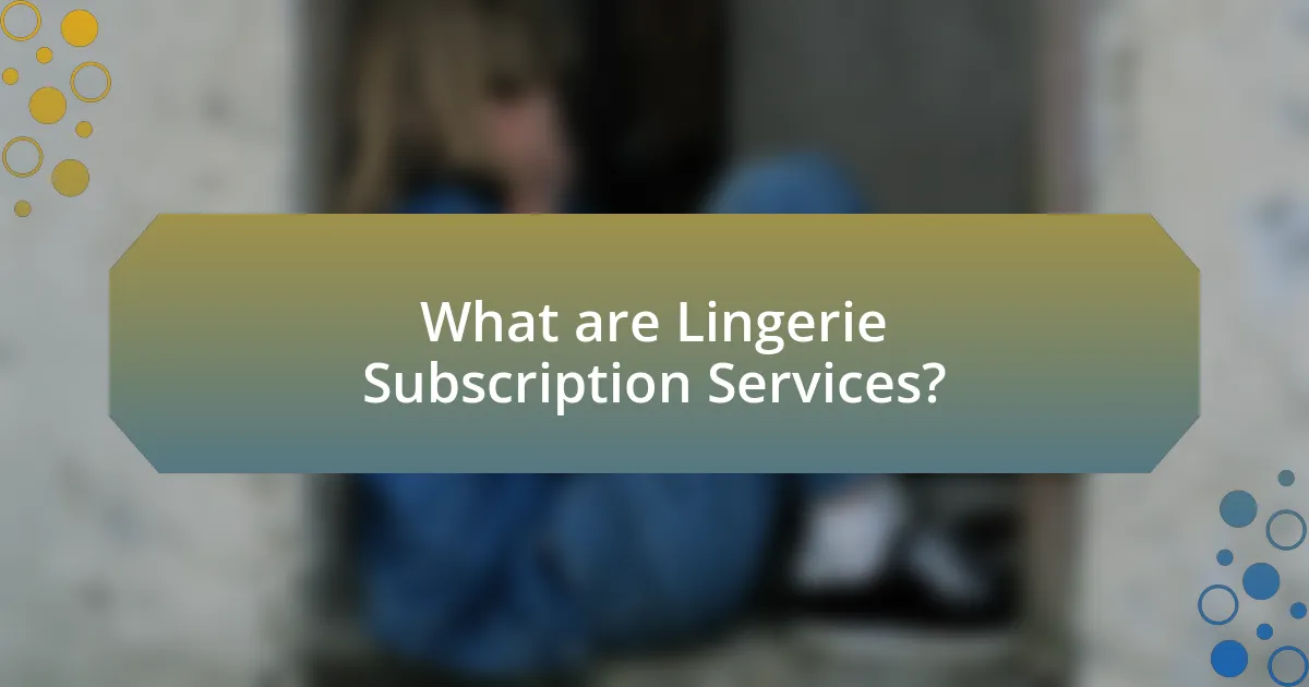 What are Lingerie Subscription Services?