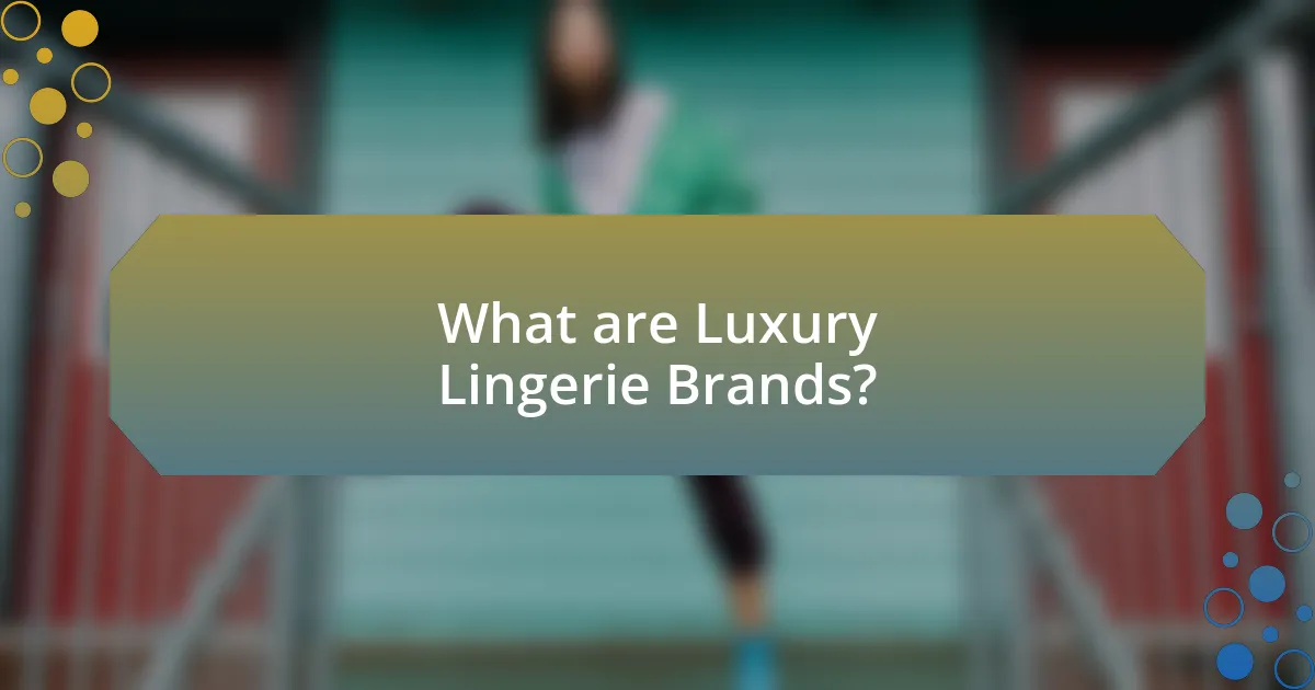 What are Luxury Lingerie Brands?