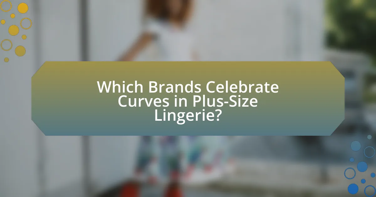 Which Brands Celebrate Curves in Plus-Size Lingerie?